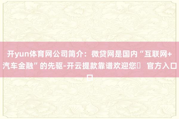 开yun体育网公司简介：微贷网是国内“互联网+汽车金融”的先驱-开云提款靠谱欢迎您✅ 官方入口