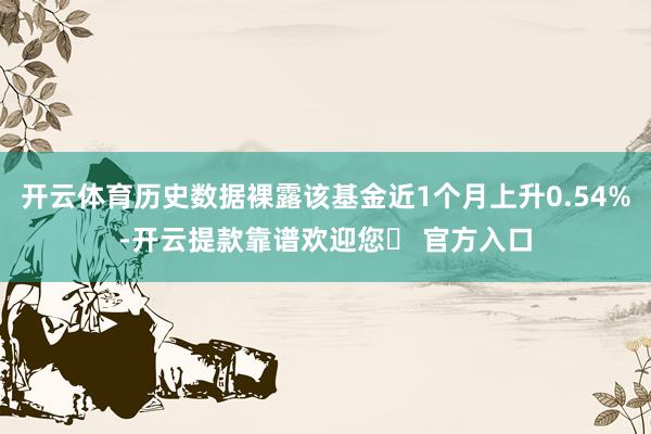 开云体育历史数据裸露该基金近1个月上升0.54%-开云提款靠谱欢迎您✅ 官方入口