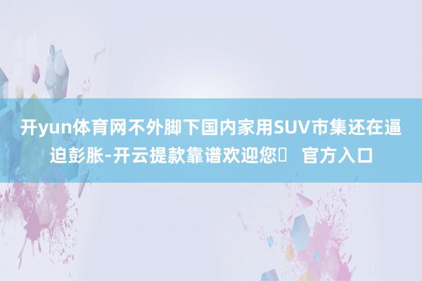 开yun体育网不外脚下国内家用SUV市集还在逼迫彭胀-开云提款靠谱欢迎您✅ 官方入口